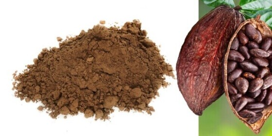 Fibra di cacao: vantaggi e applicazioni