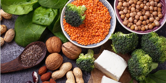 Integratori di proteine vegetali: usi e benefici
